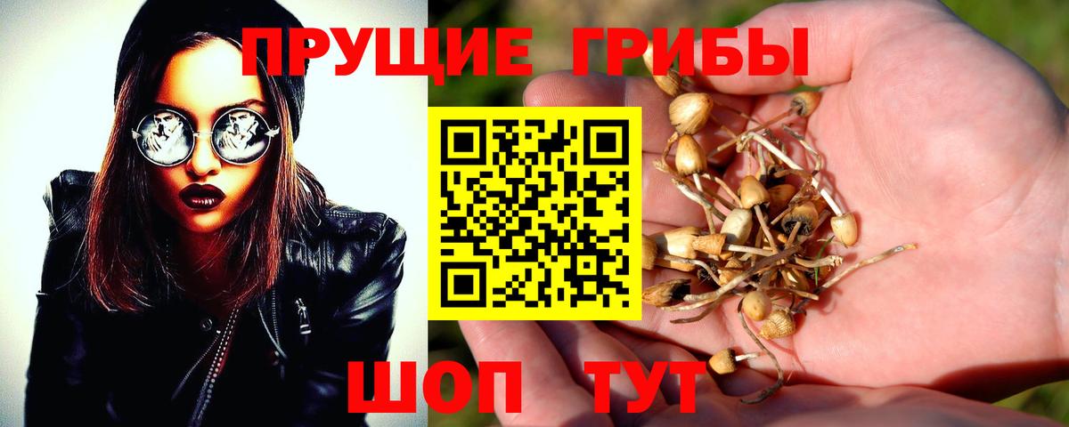 Котельники  Псилоцибиновые грибы ЛСД  Вход с VPN 